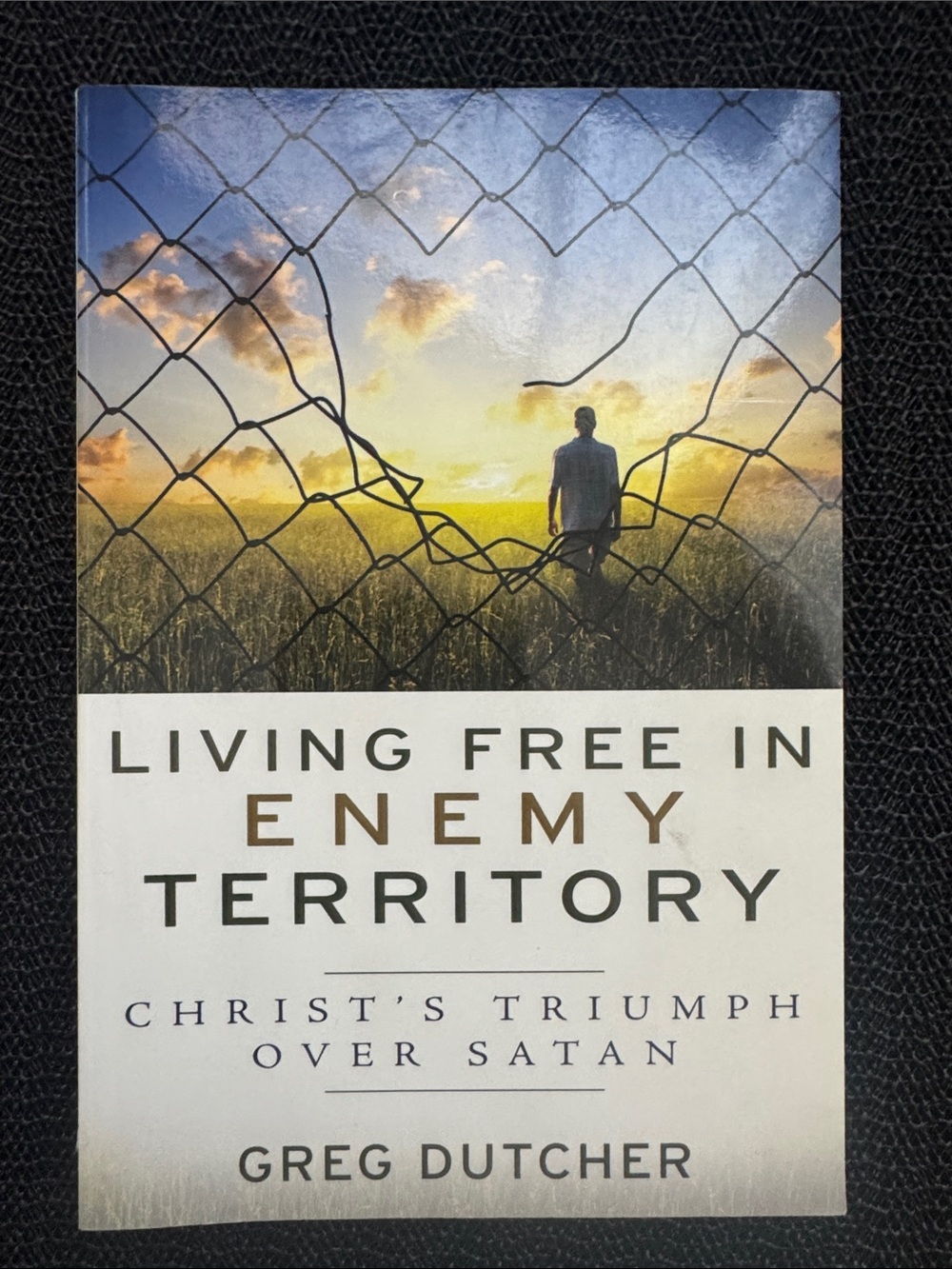 Living Free in Enemy Territory by Greg Dutcher - Blue & Gold Cover